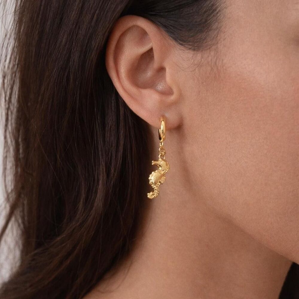 seahorse hoop earrings D32